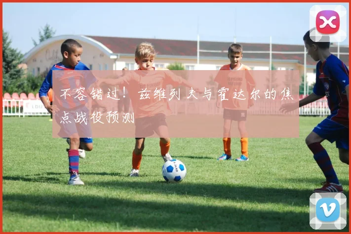 不容错过！兹维列夫与霍达尔的焦点战役预测