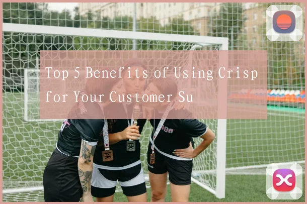 Top 5 Benefits of Using Crisp for Your Customer Su